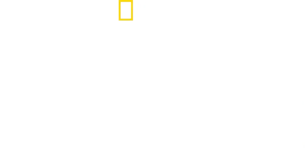 Ανατομία της Καταστροφής