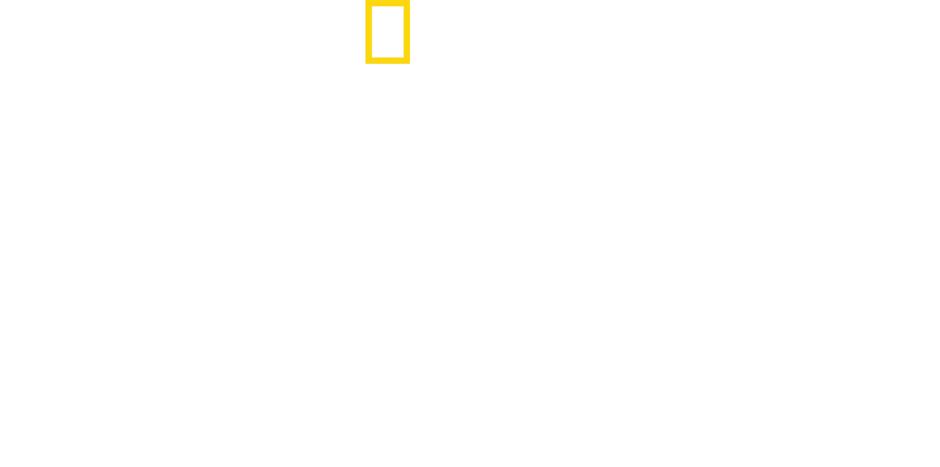 Ανατομία της Καταστροφής