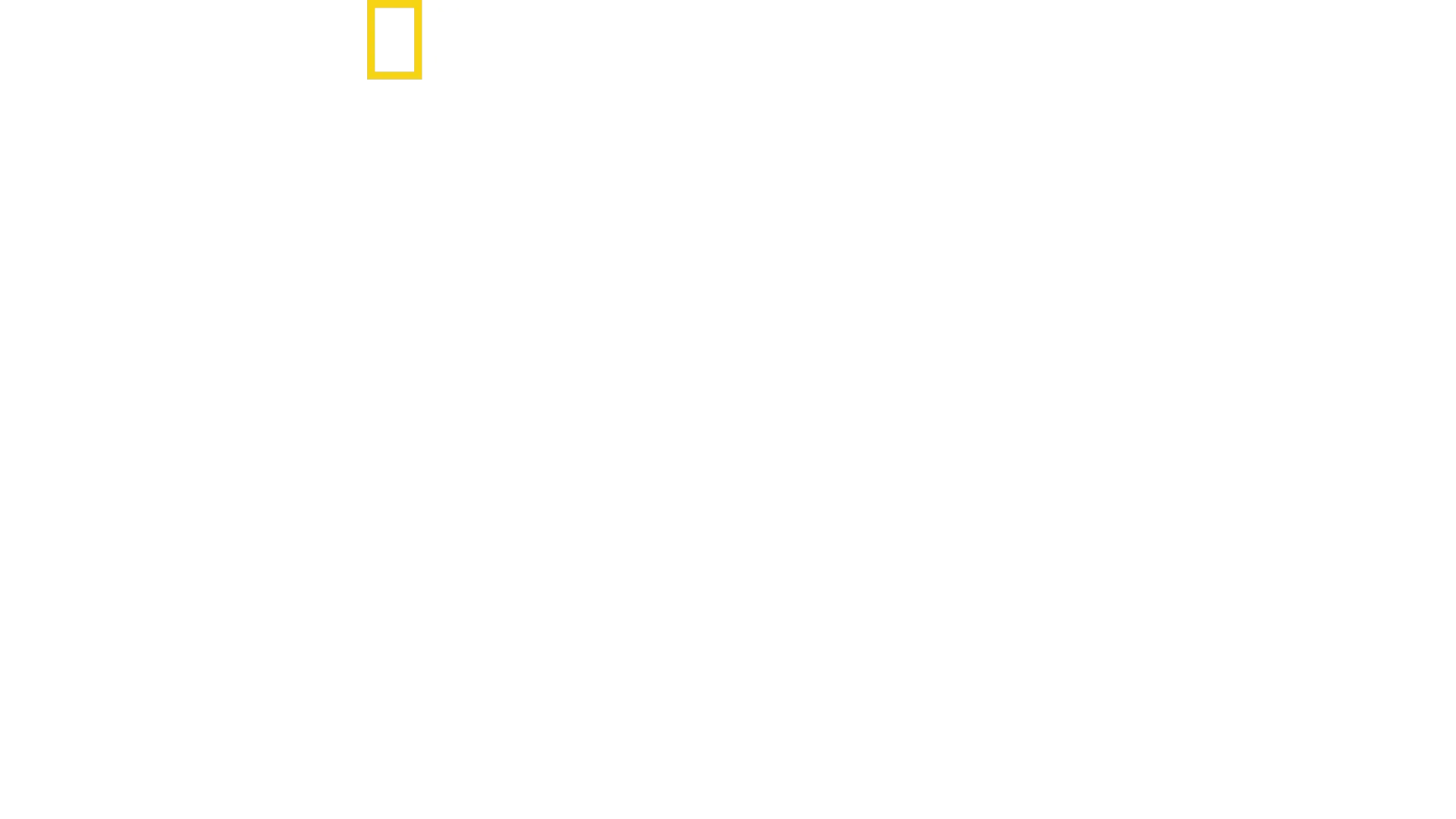 Hitler: Guerra alla stampa