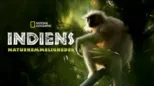 thumbnail - Indiens naturhemmeligheder
