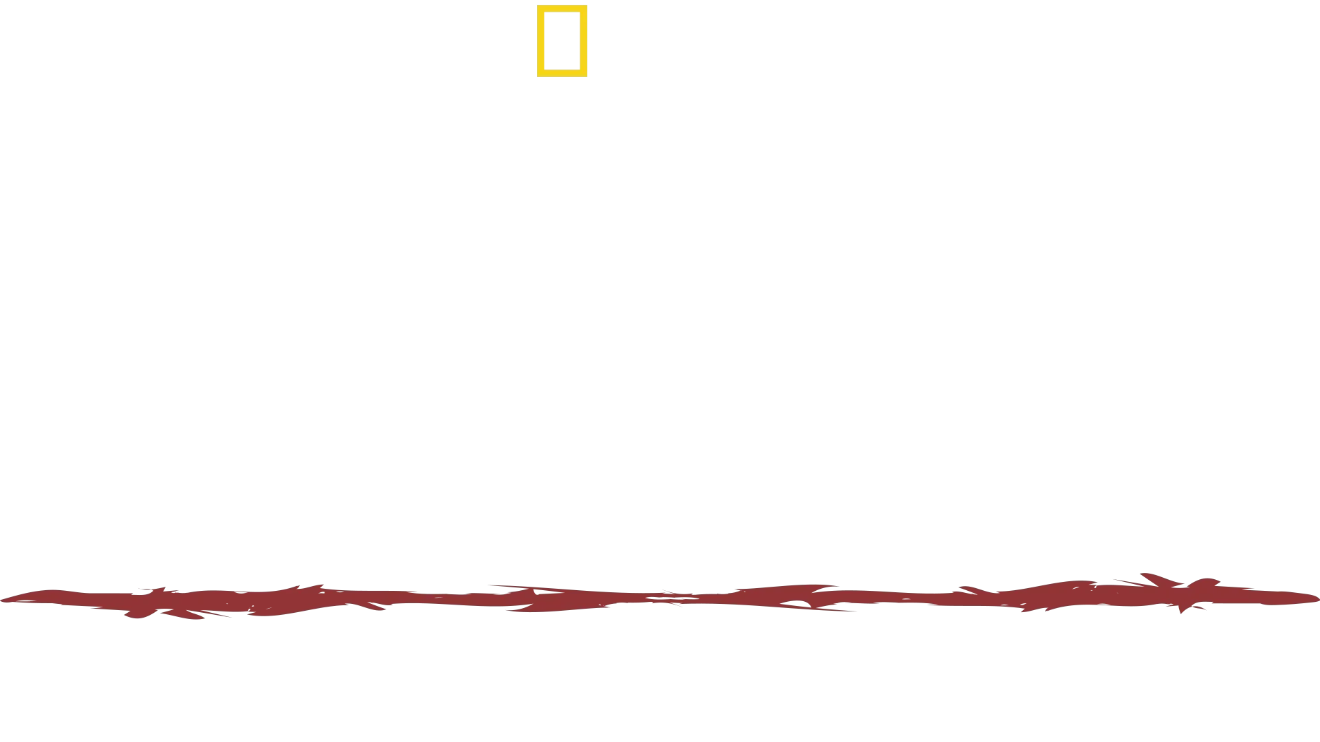 Primal Survivor: Extreme African Safari