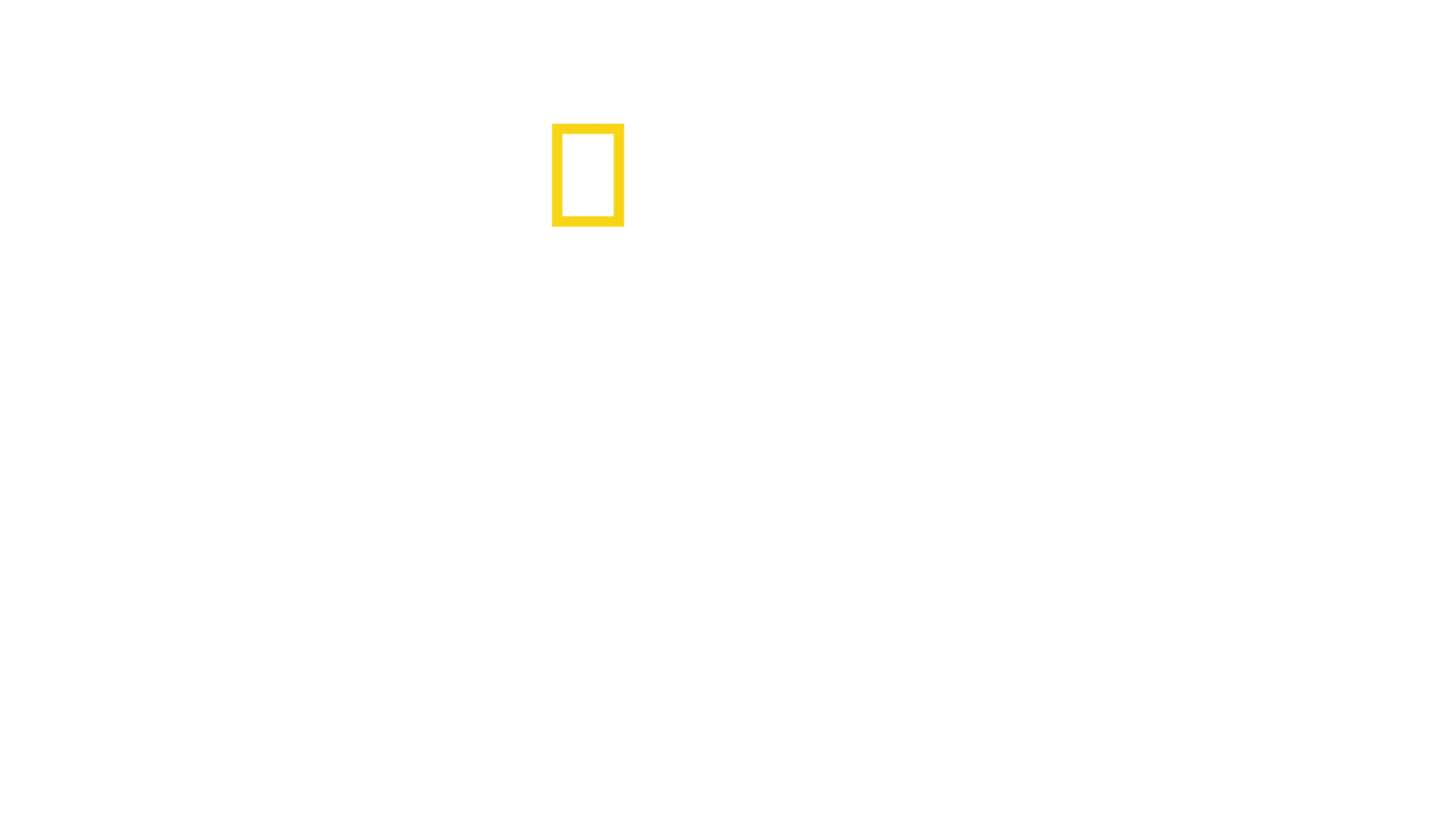 Tiburones en la noche