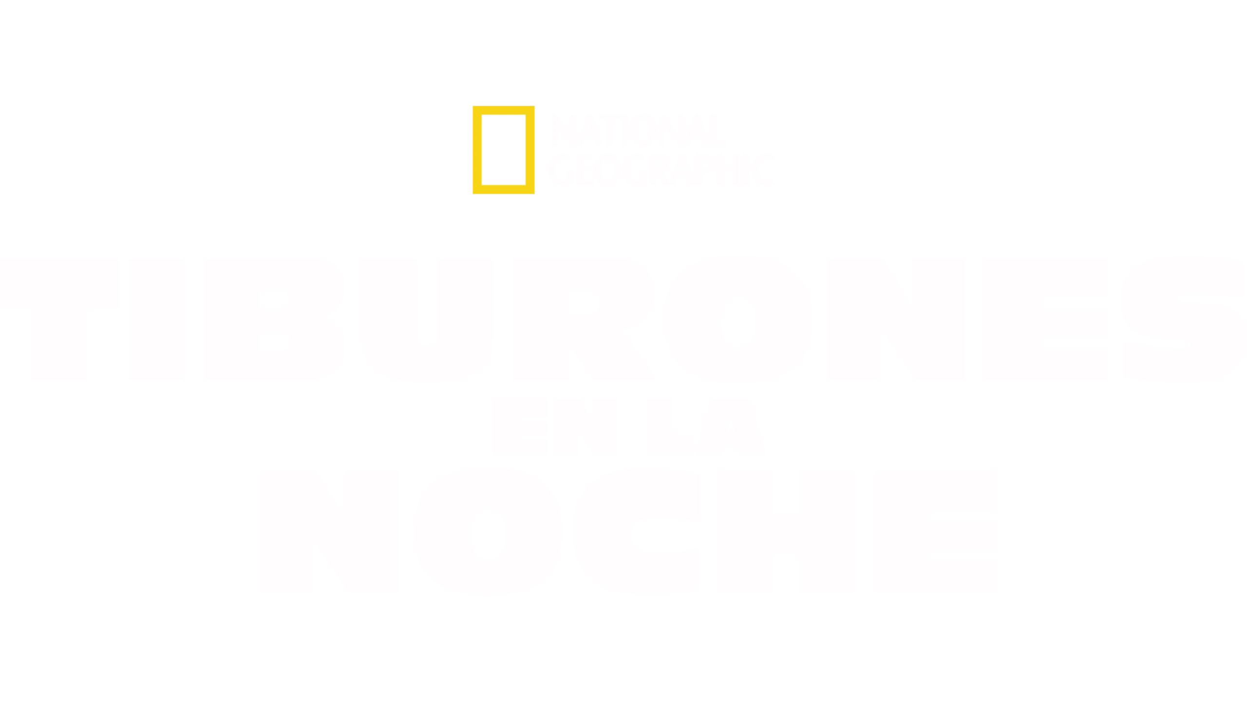 Tiburones en la noche