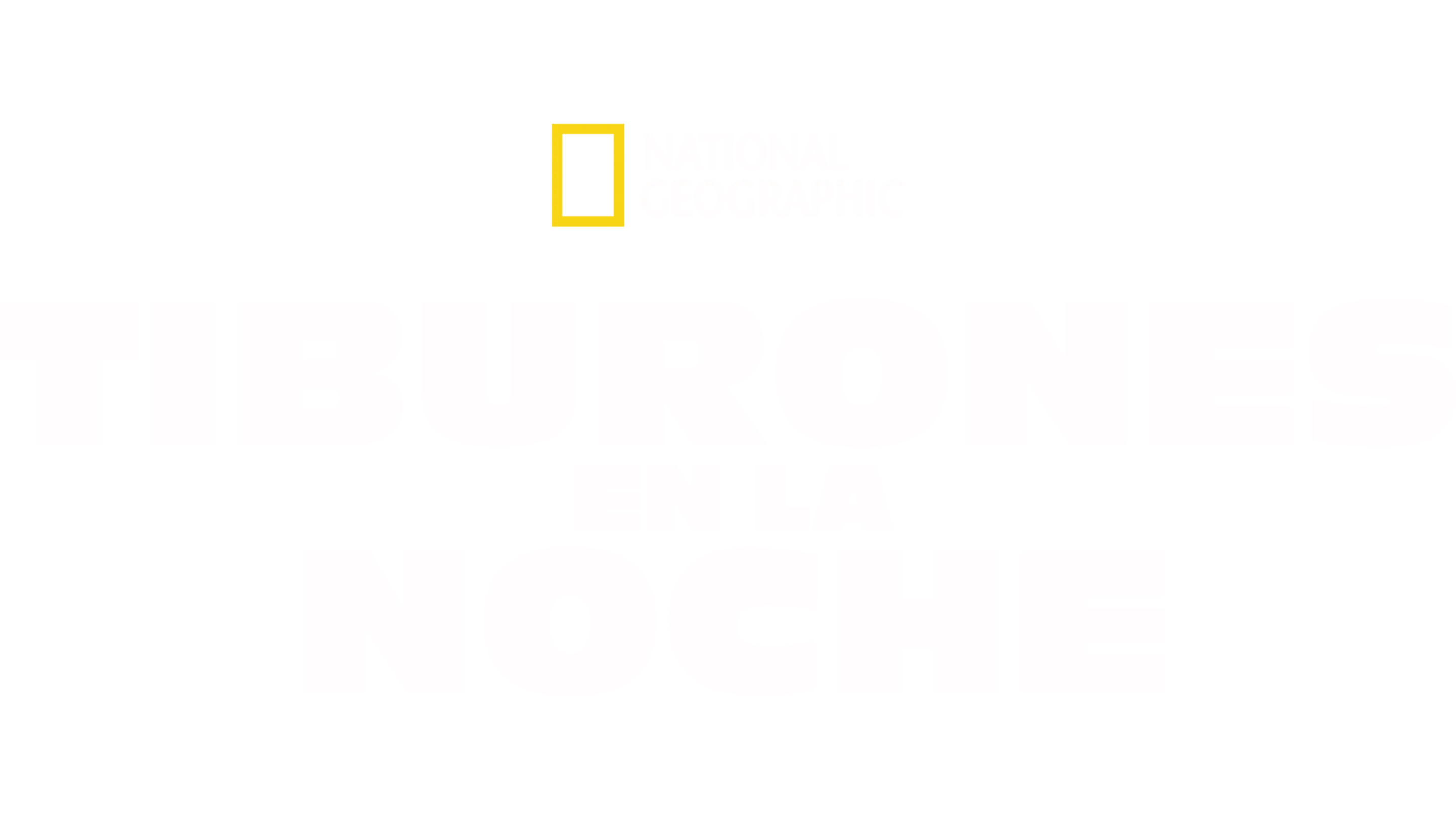 Tiburones en la noche