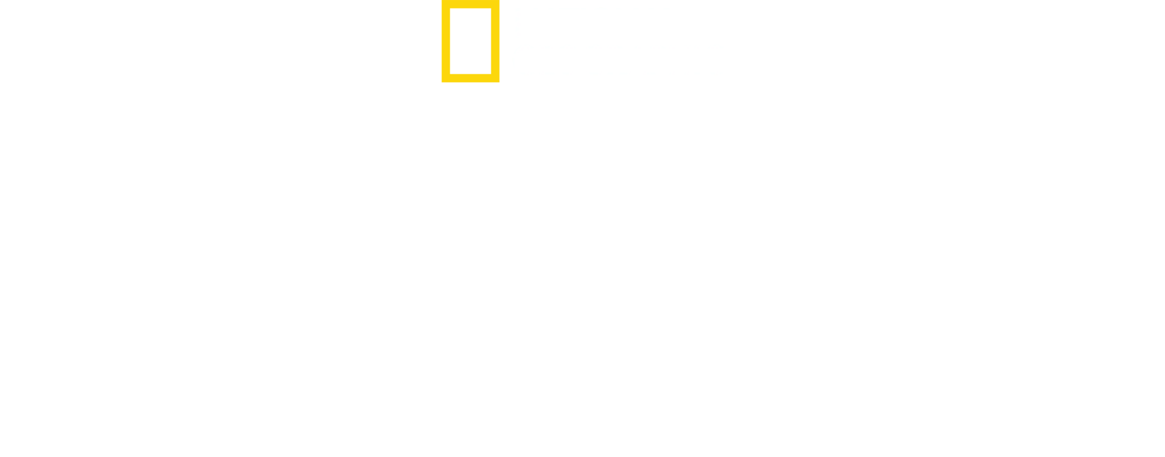 Tiburones en la noche