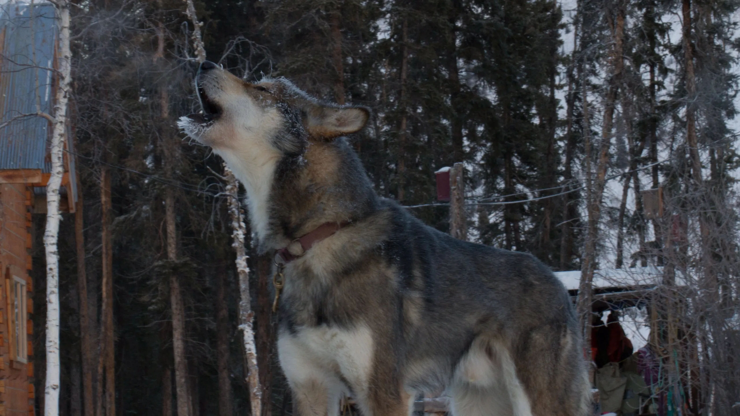 thumbnail - S1:E6 There Be Monsters