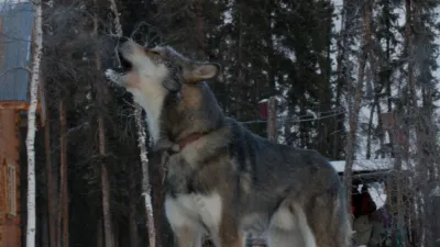 thumbnail - S1:E6 There Be Monsters