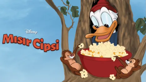 thumbnail - Mısır Cipsi