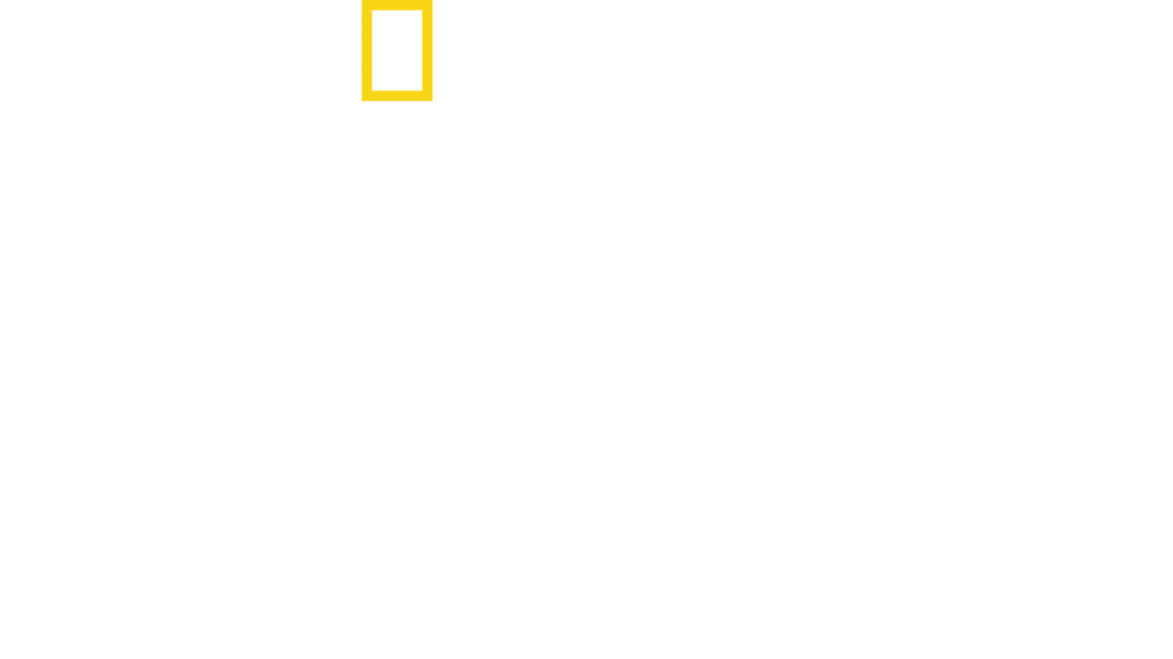 Egipt – strażnicy skarbów