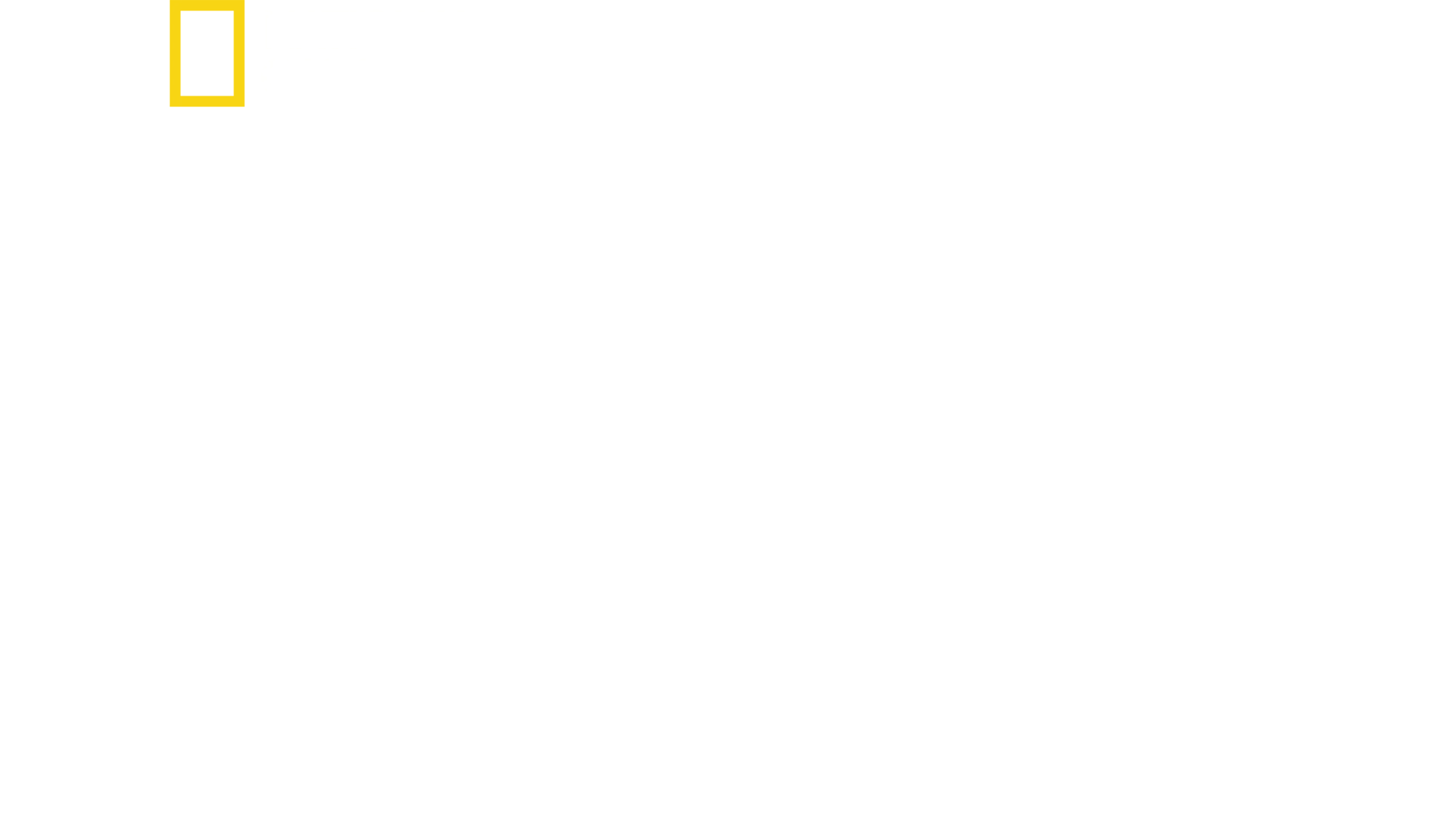 마우이 샤크 미스터리