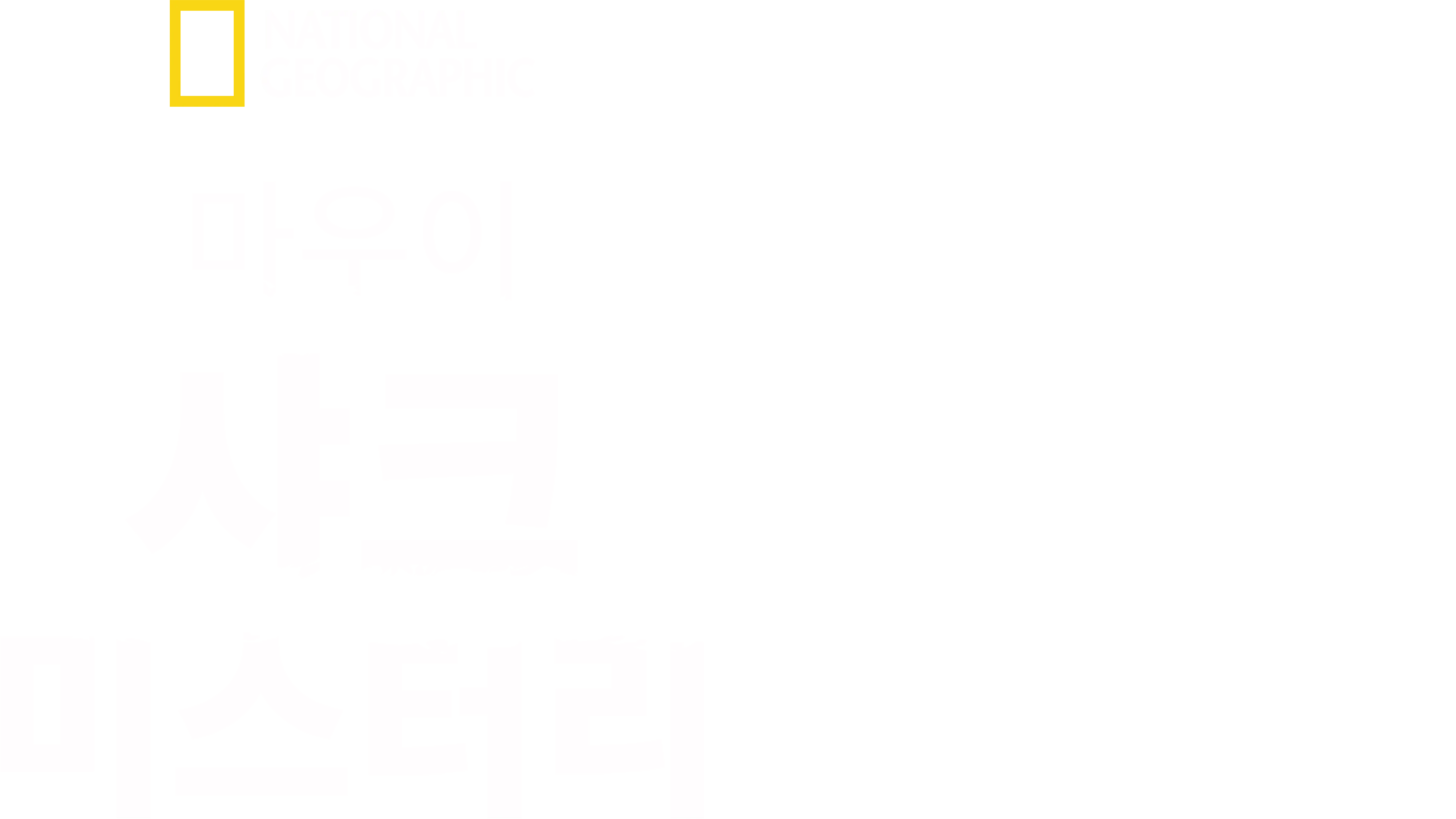 마우이 샤크 미스터리