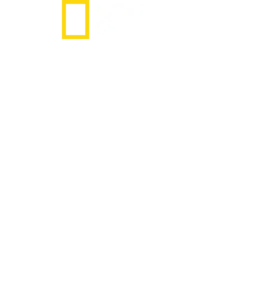 마우이 샤크 미스터리