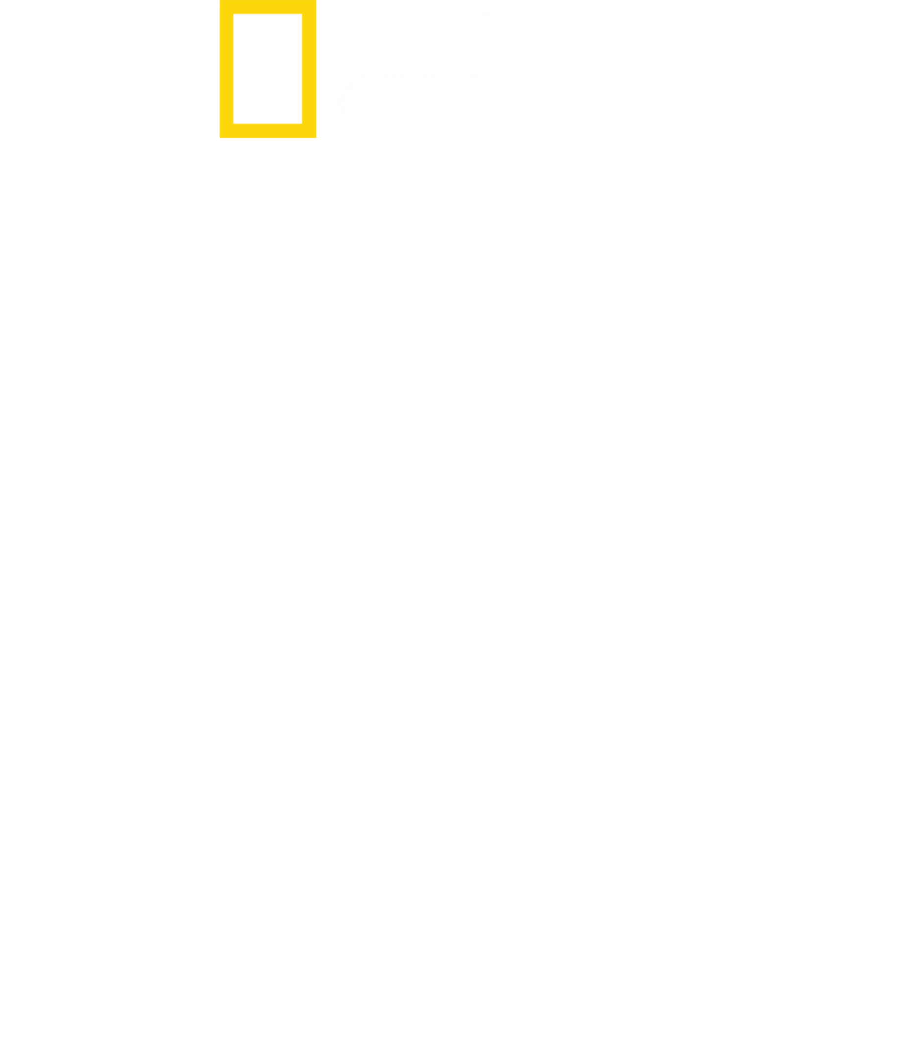 마우이 샤크 미스터리