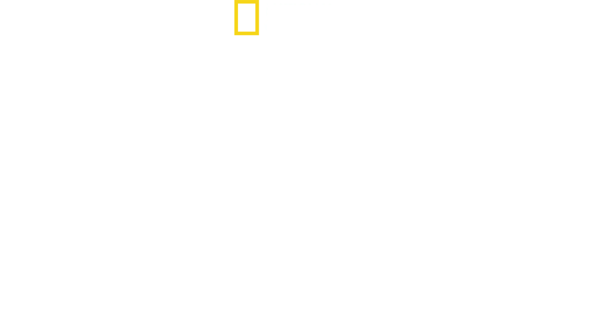 Toinen maailmansota: Pinnanalainen helvetti