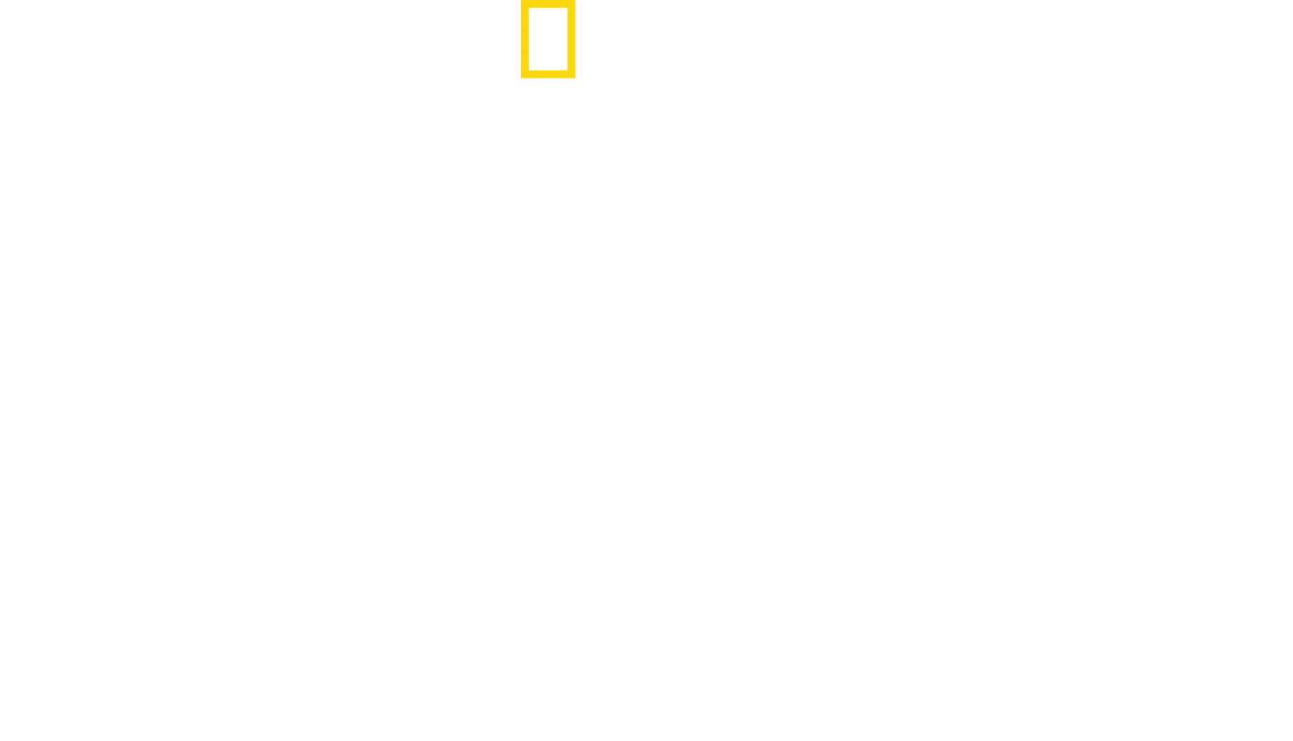Toinen maailmansota: Pinnanalainen helvetti