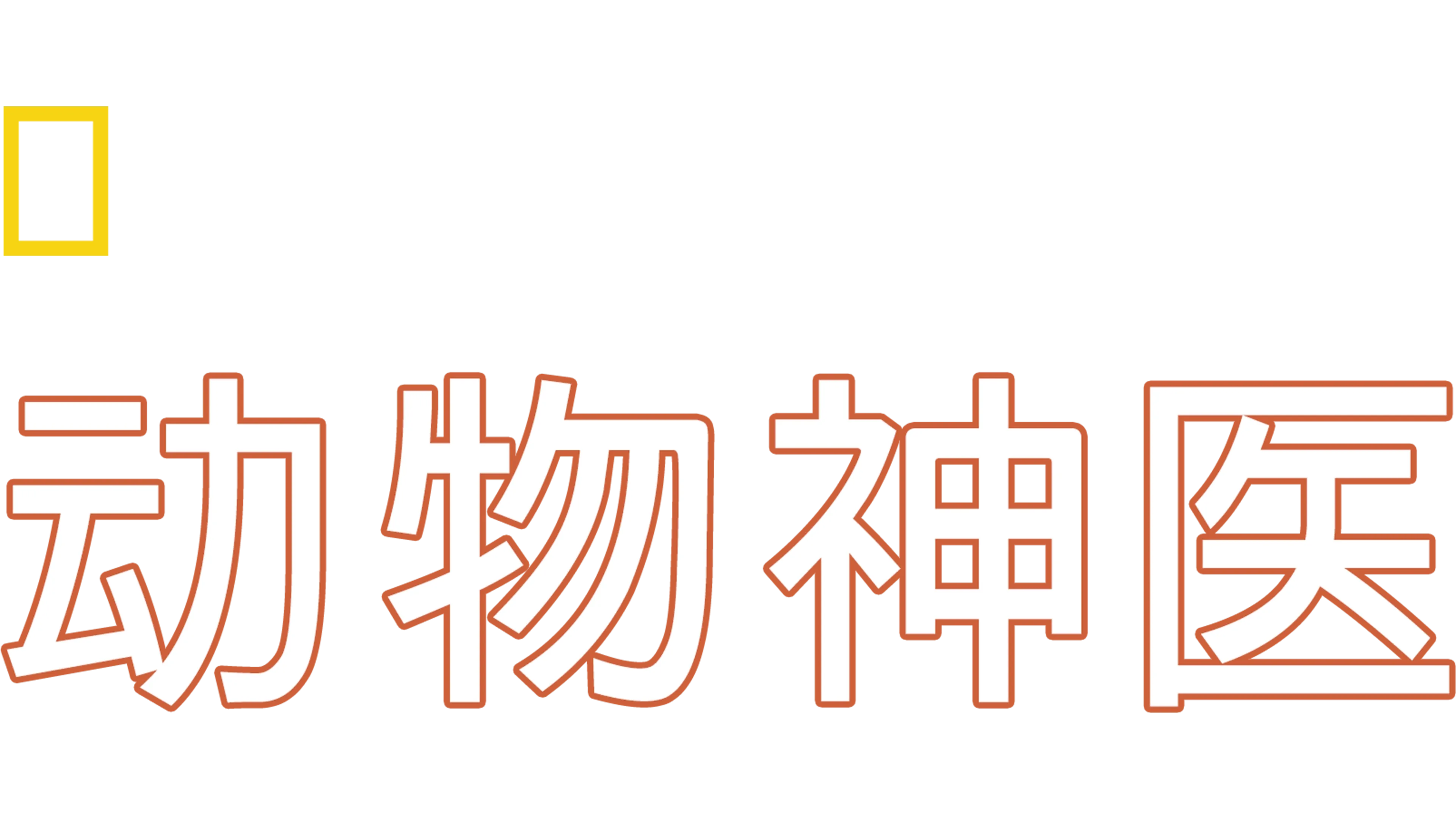 动物神医