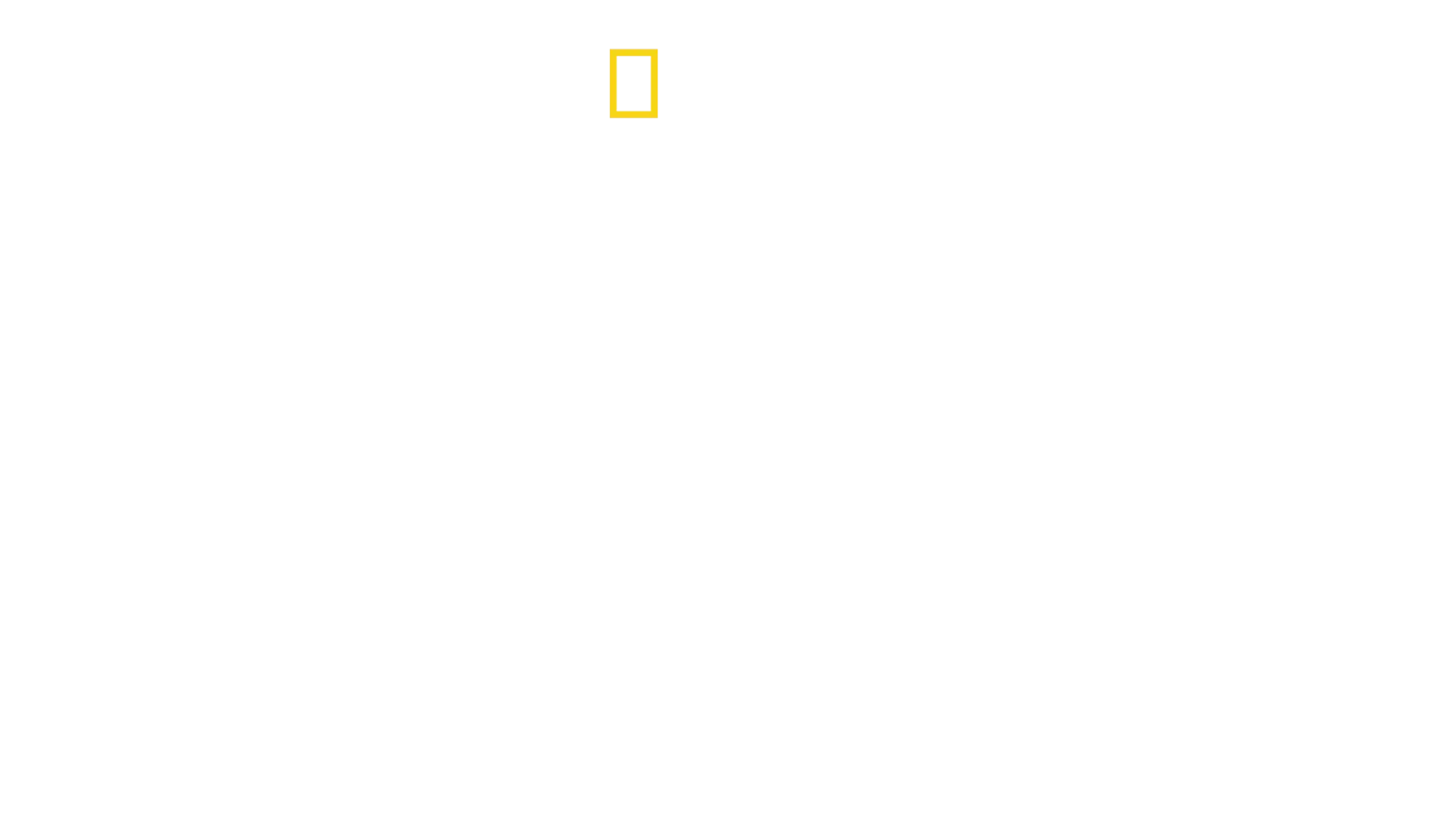 Bertie Gregory: A tu per tu con gli squali