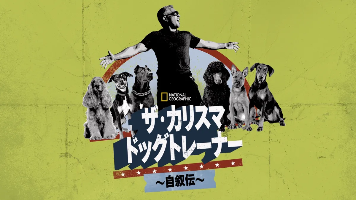 ザ・カリスマ ドッグトレーナー ～自叙伝～を配信で見る | Disney+(