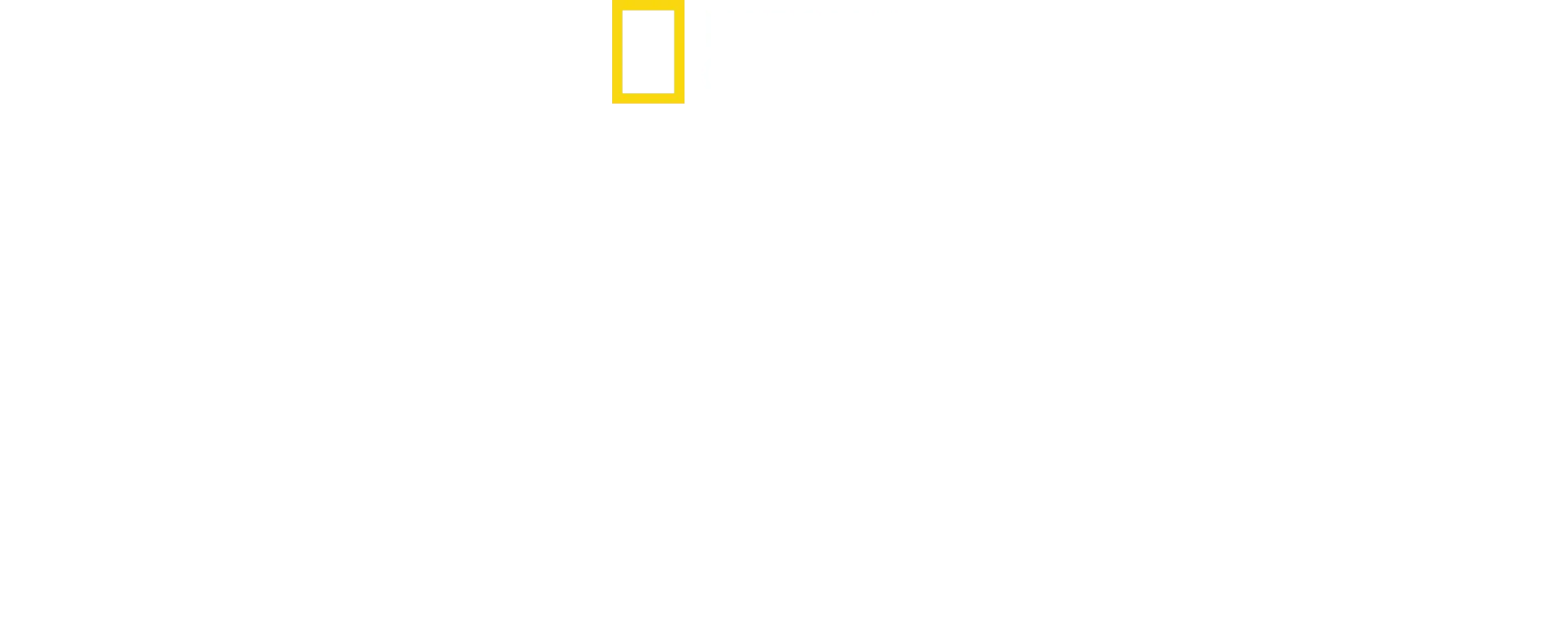 I segreti delle balene
