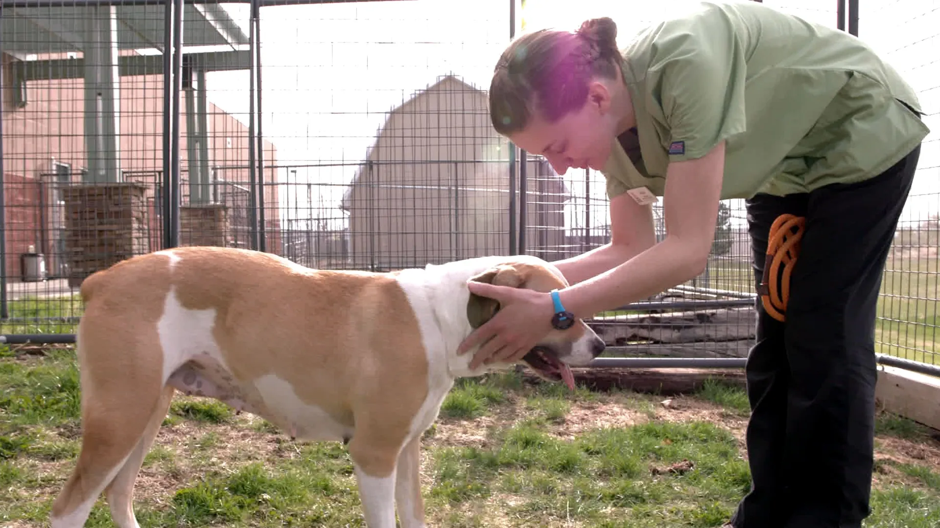 thumbnail - S1:E5 Pups in Peril