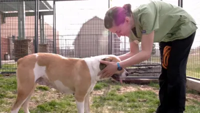 thumbnail - S1:E5 Pups in Peril