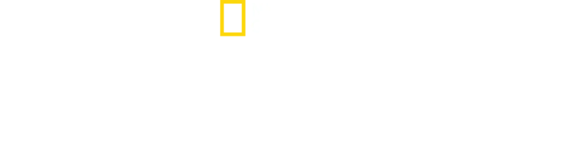 A Harmadik Birodalom építményei