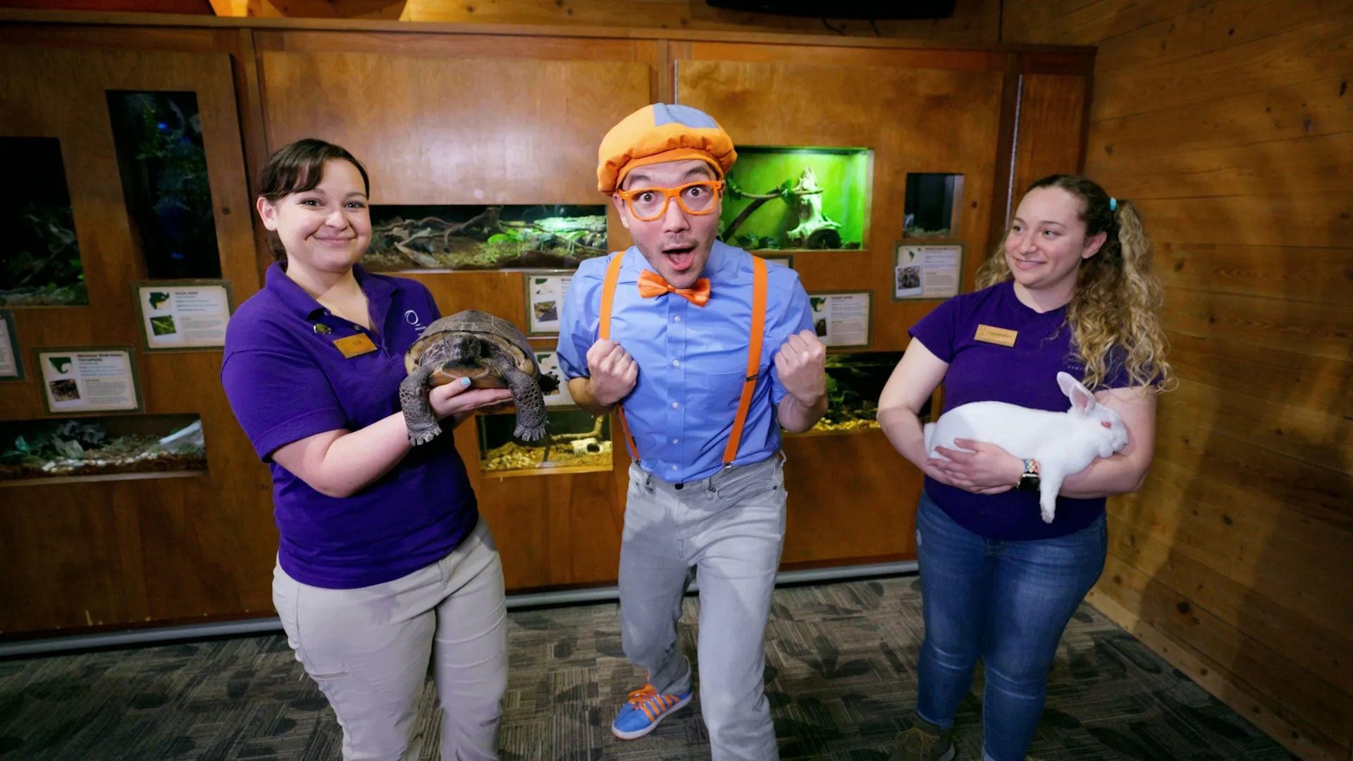 thumbnail - S1:E6 BLIPPI’S TOP TEN: ANIMALS!