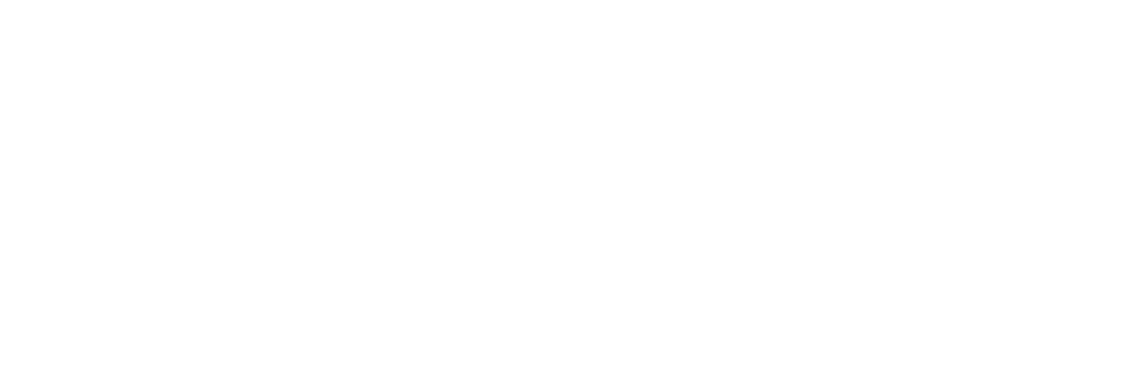 愚者治愚