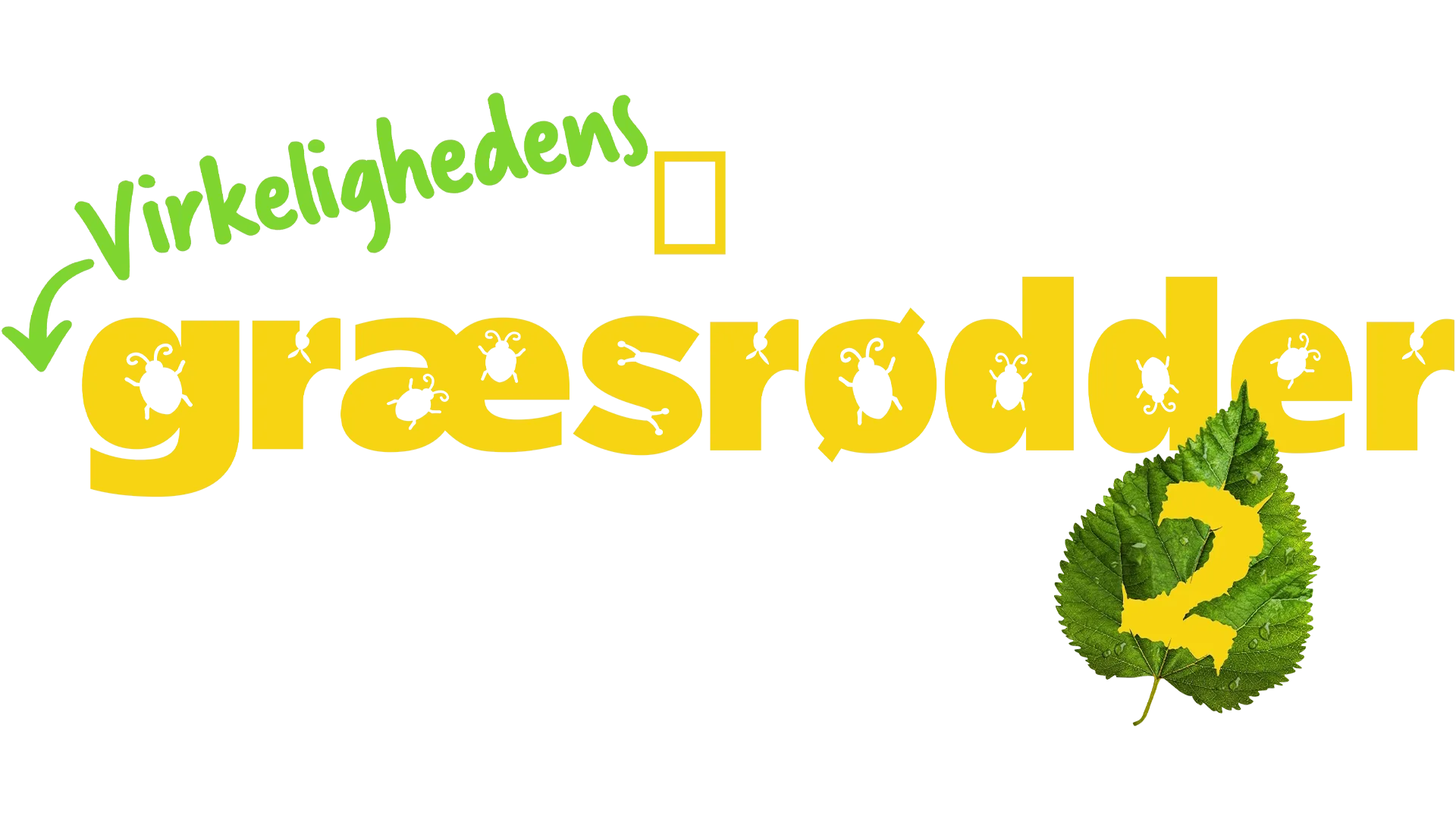 Virkelighedens Græsrødder