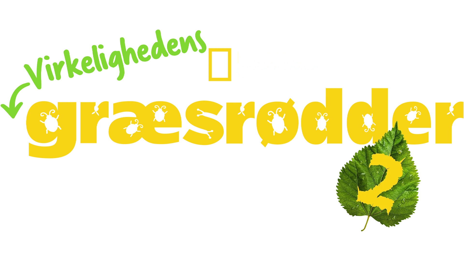 Virkelighedens Græsrødder