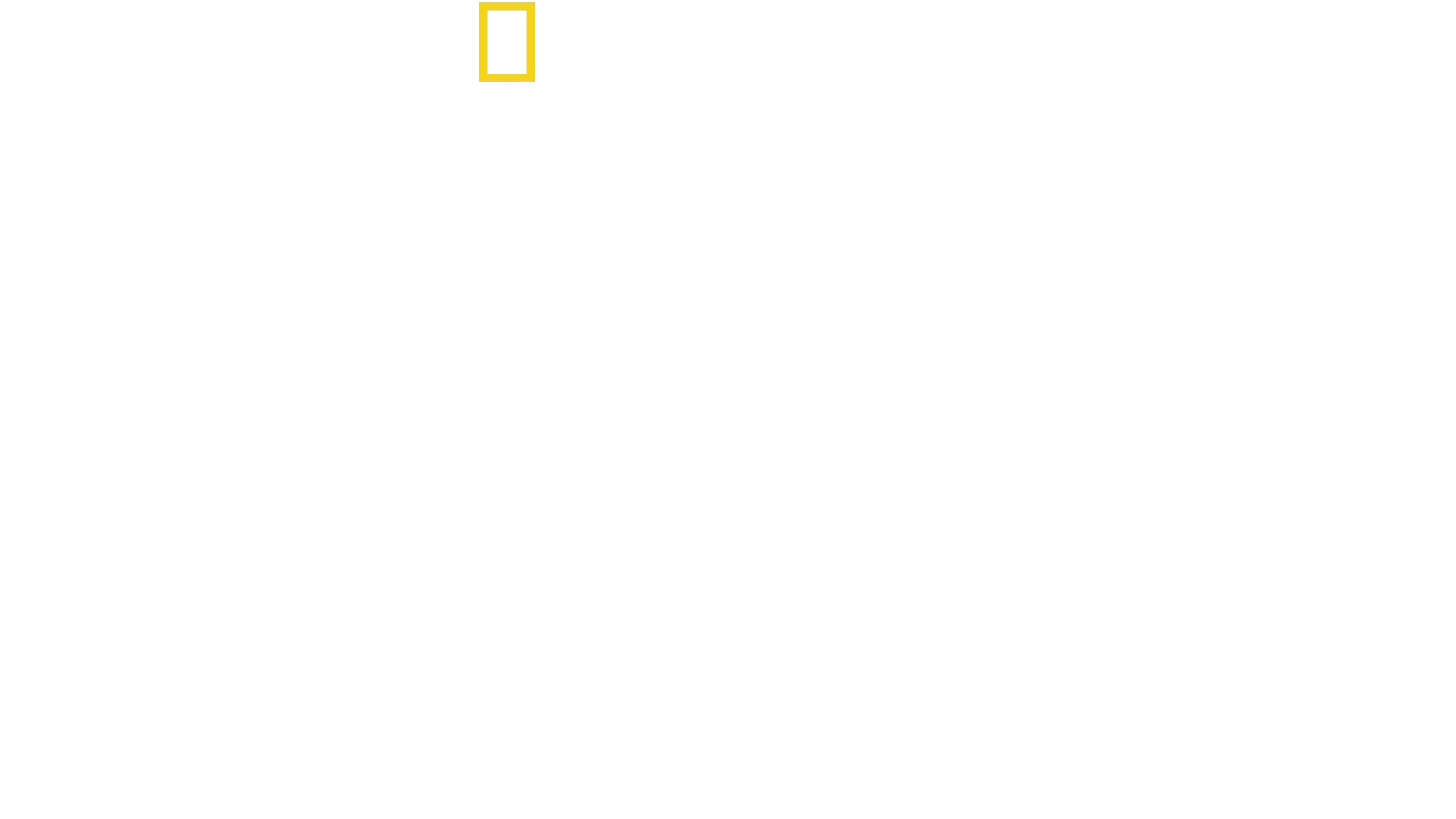 David Blaine Do Not Attempt