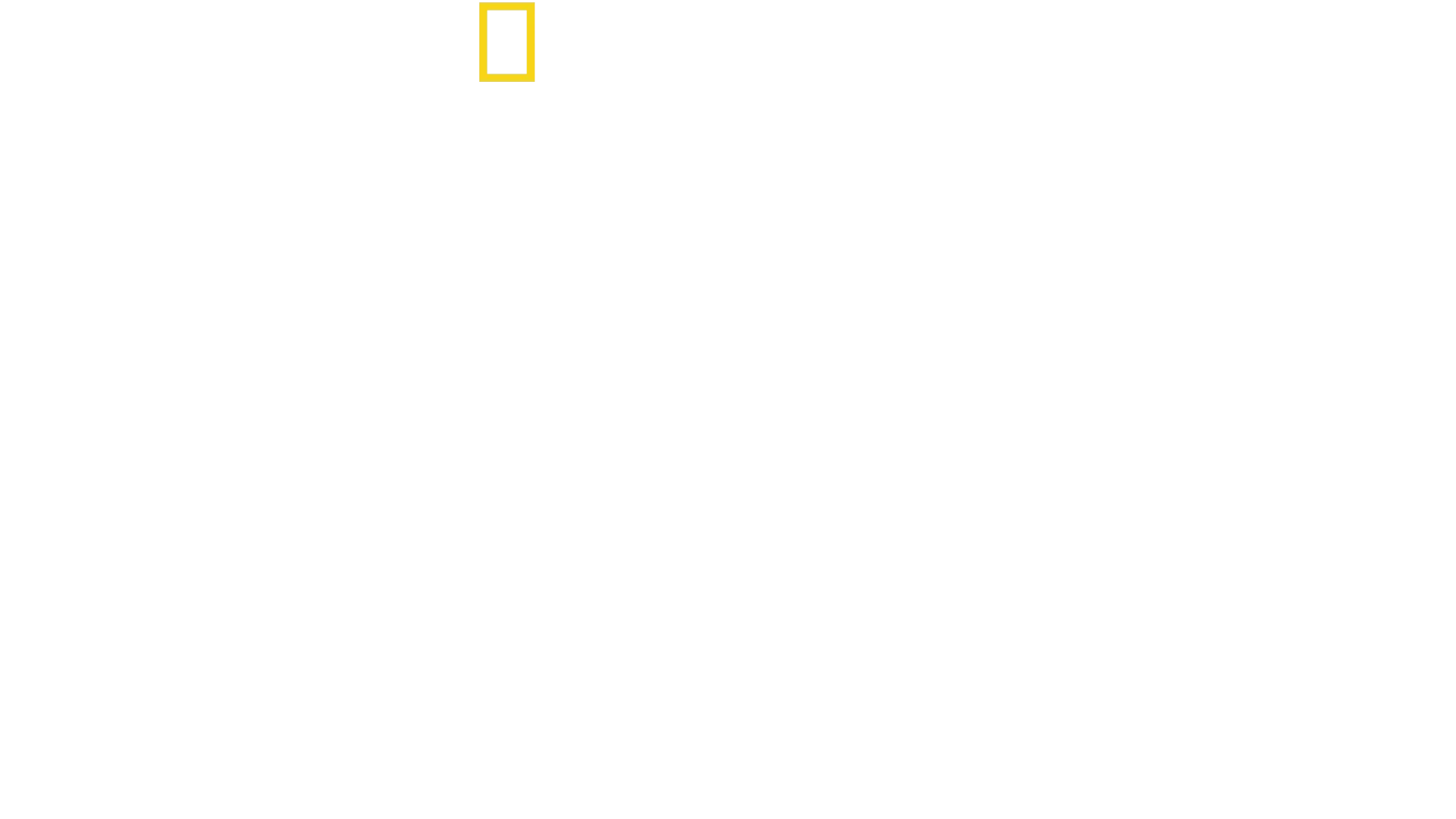 David Blaine Do Not Attempt