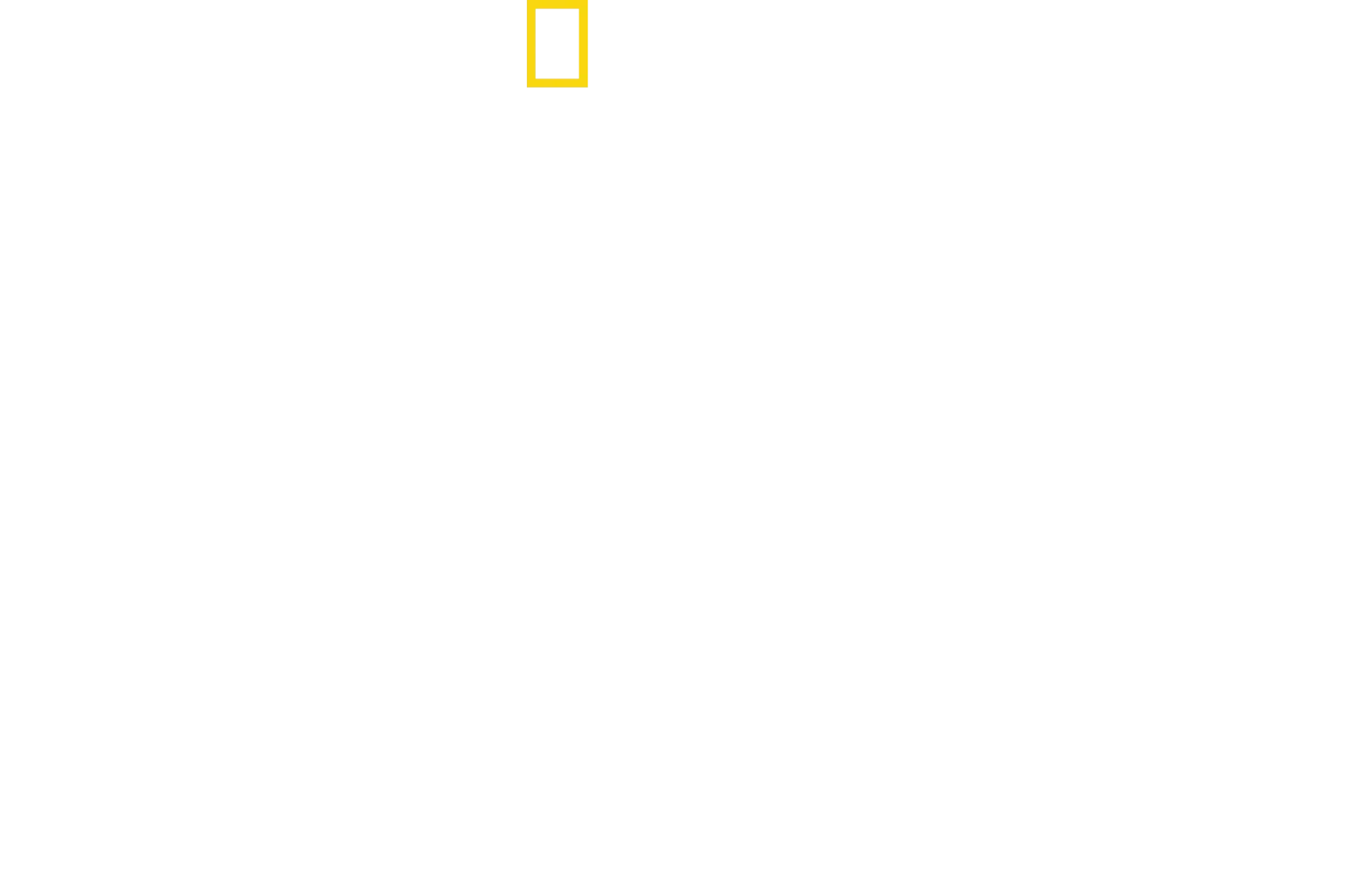 David Blaine Do Not Attempt