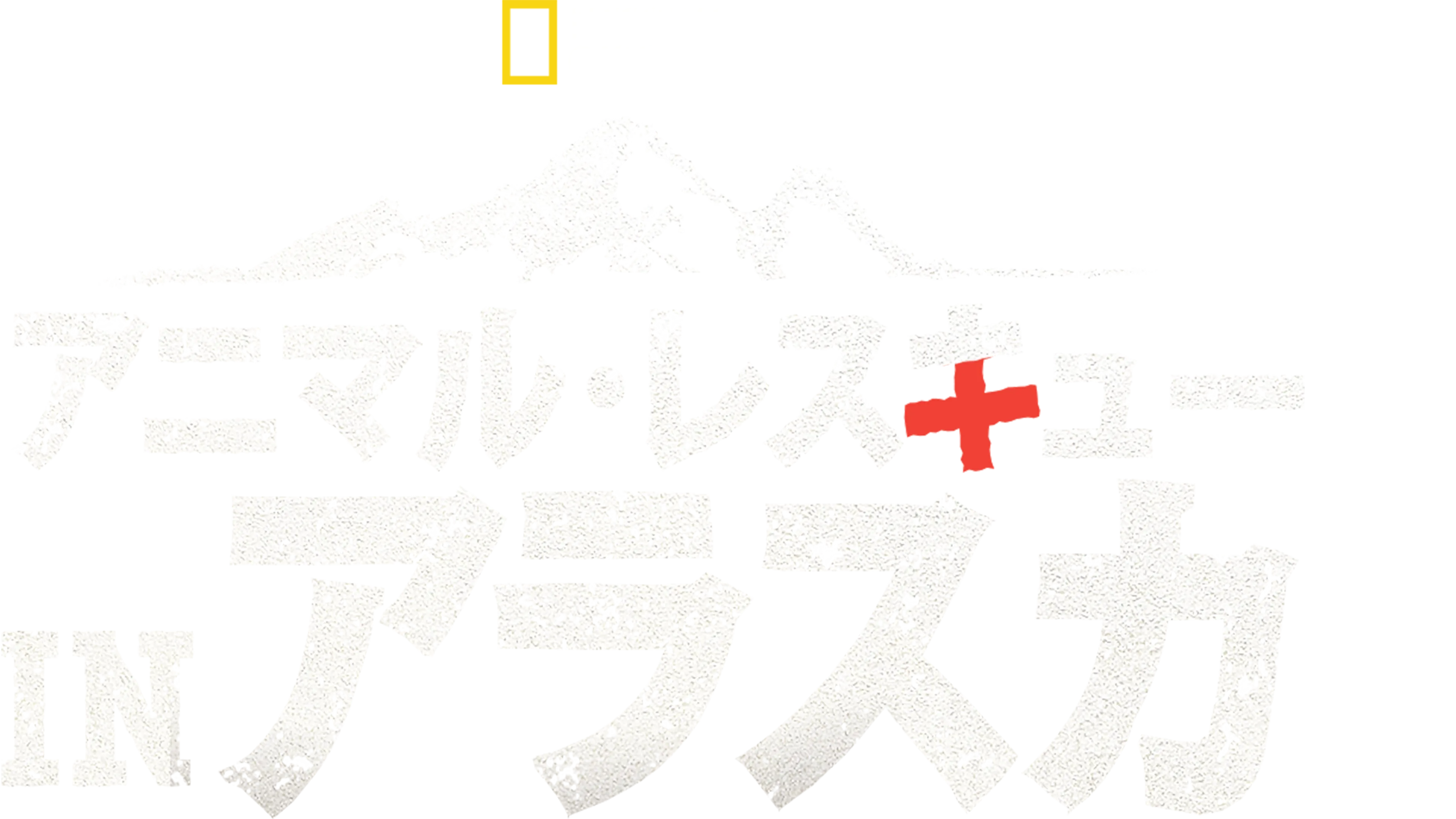 アニマル・レスキュー in アラスカ