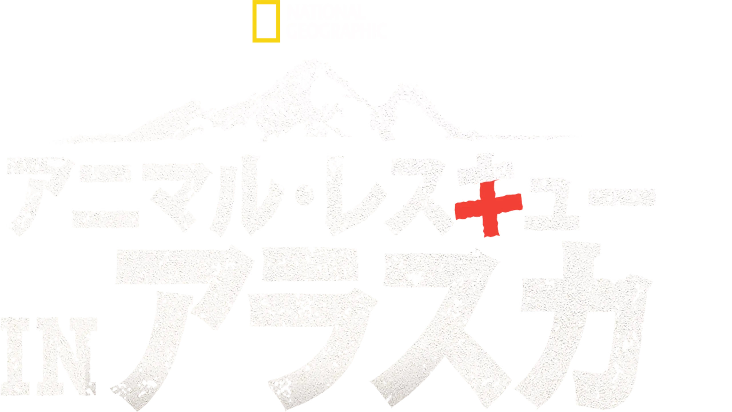 アニマル・レスキュー in アラスカ