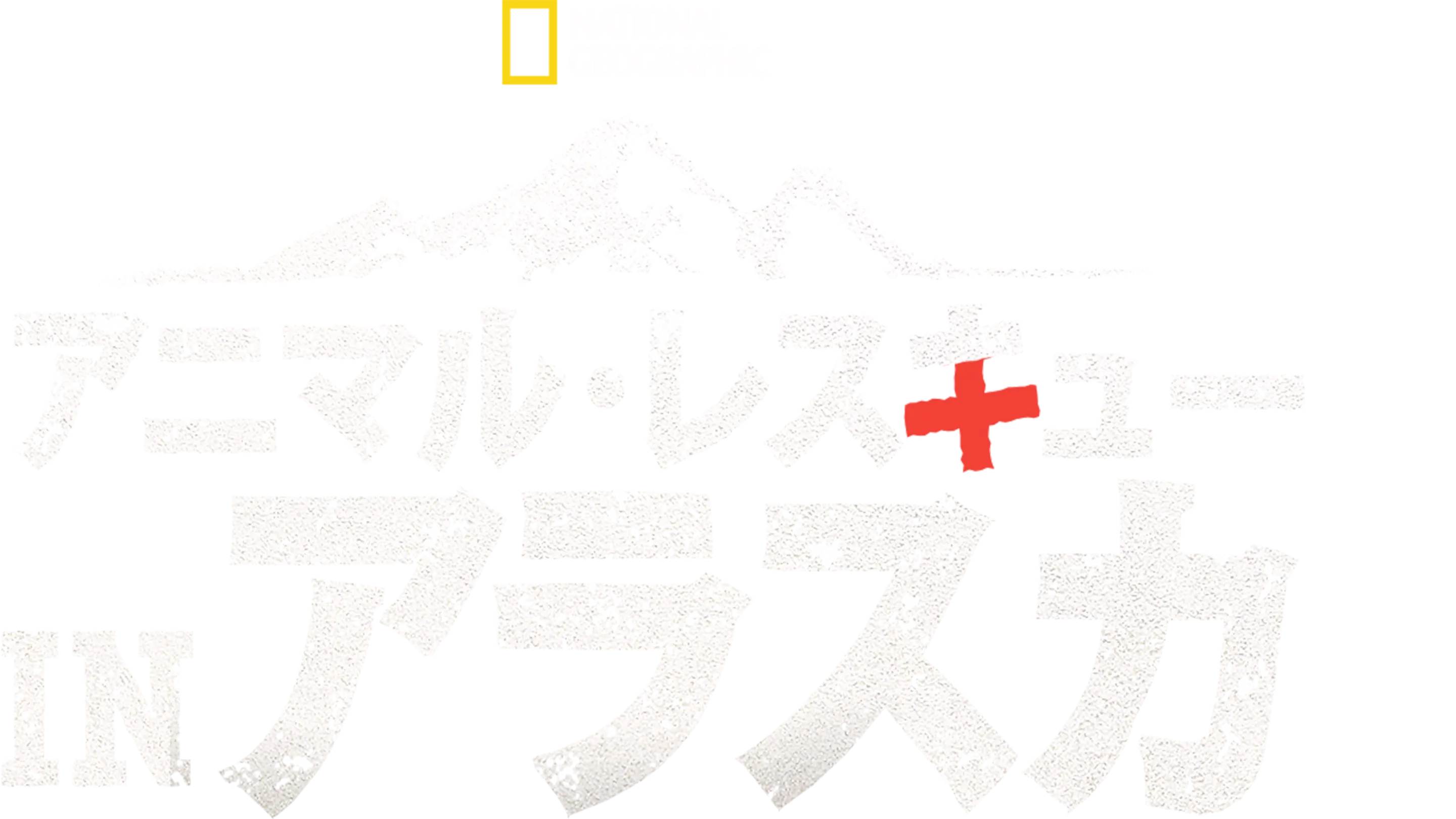 アニマル・レスキュー in アラスカ