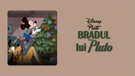 thumbnail - Bradul lui Pluto