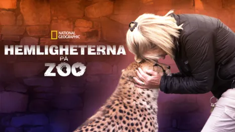 thumbnail - Hemligheterna på zoo