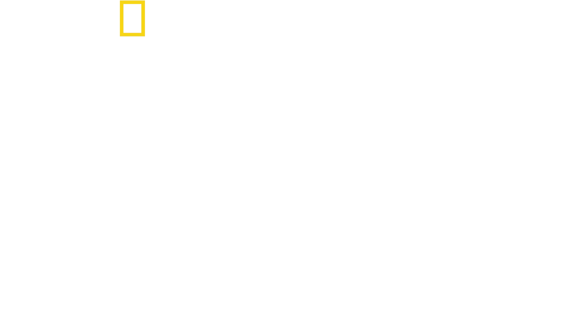 スタンリー・トゥッチのイタリア料理に恋して
