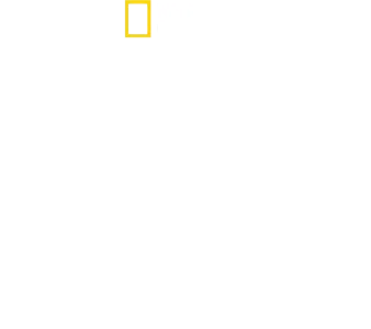 スタンリー・トゥッチのイタリア料理に恋して