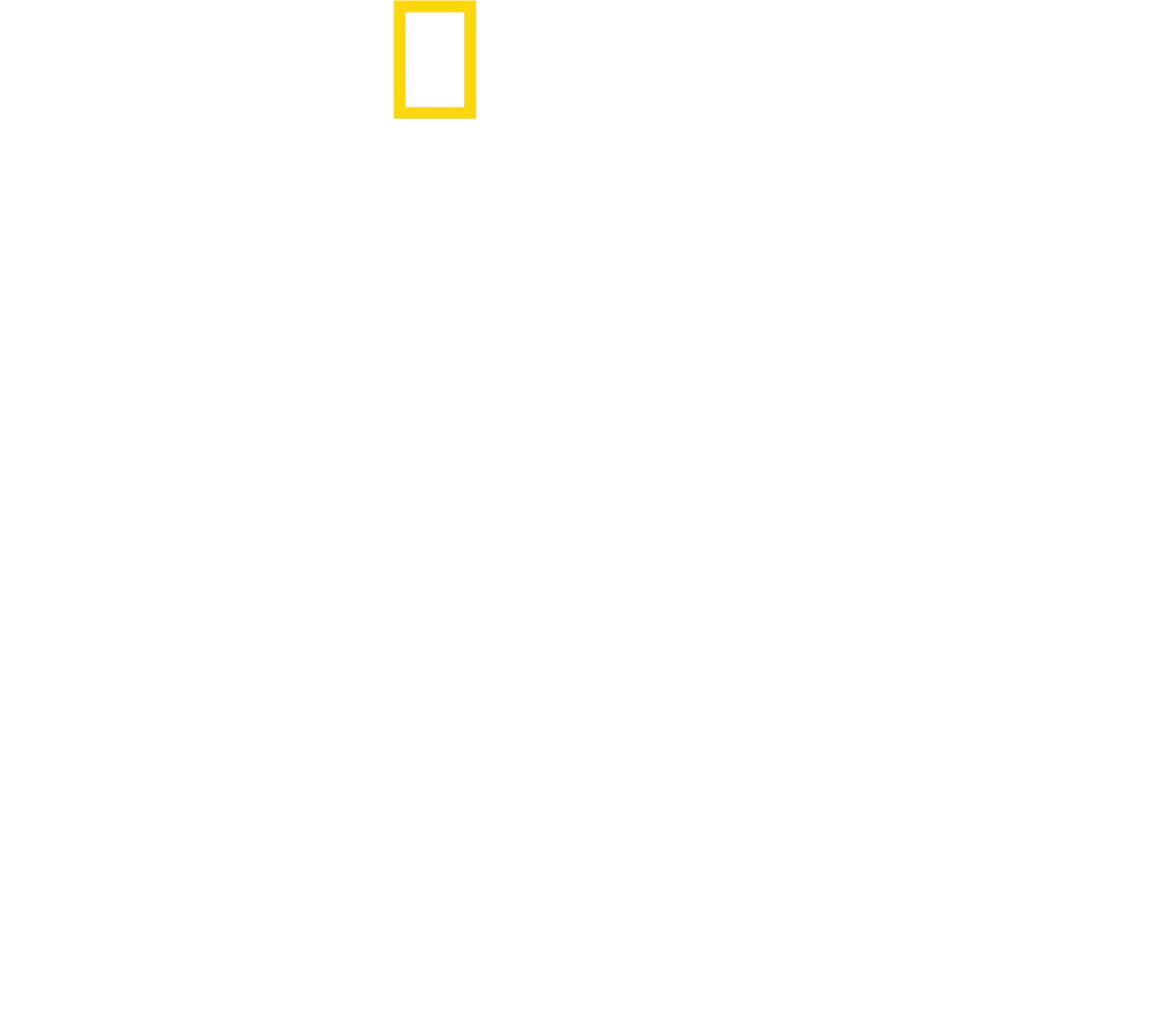 スタンリー・トゥッチのイタリア料理に恋して