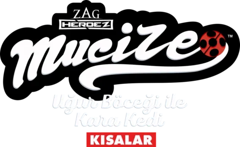 Mucize: Uğur Böceği ile Kara Kedi (Kısalar)