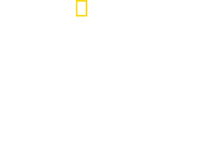 Schlagzeilen gegen Hitler