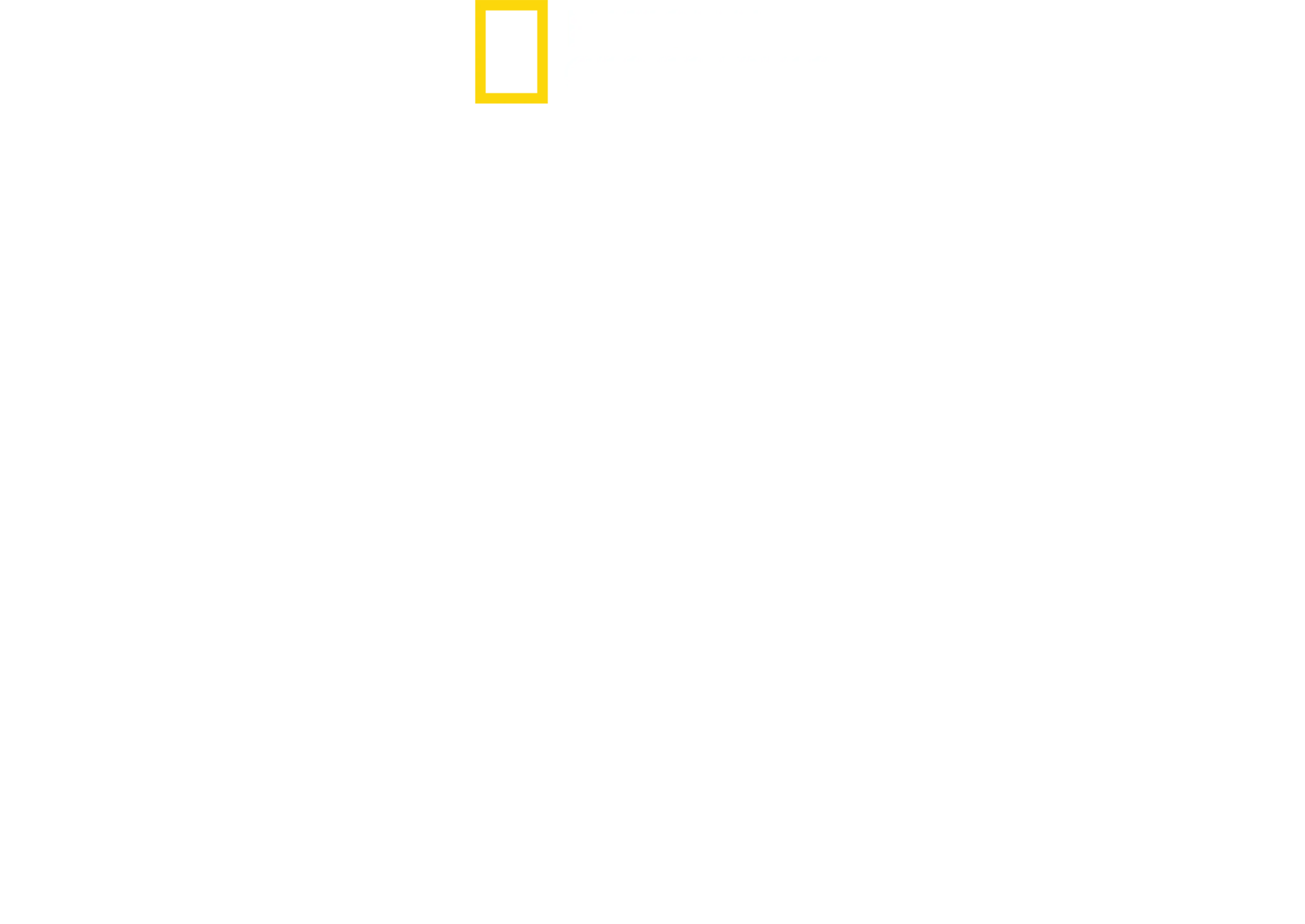 Schlagzeilen gegen Hitler