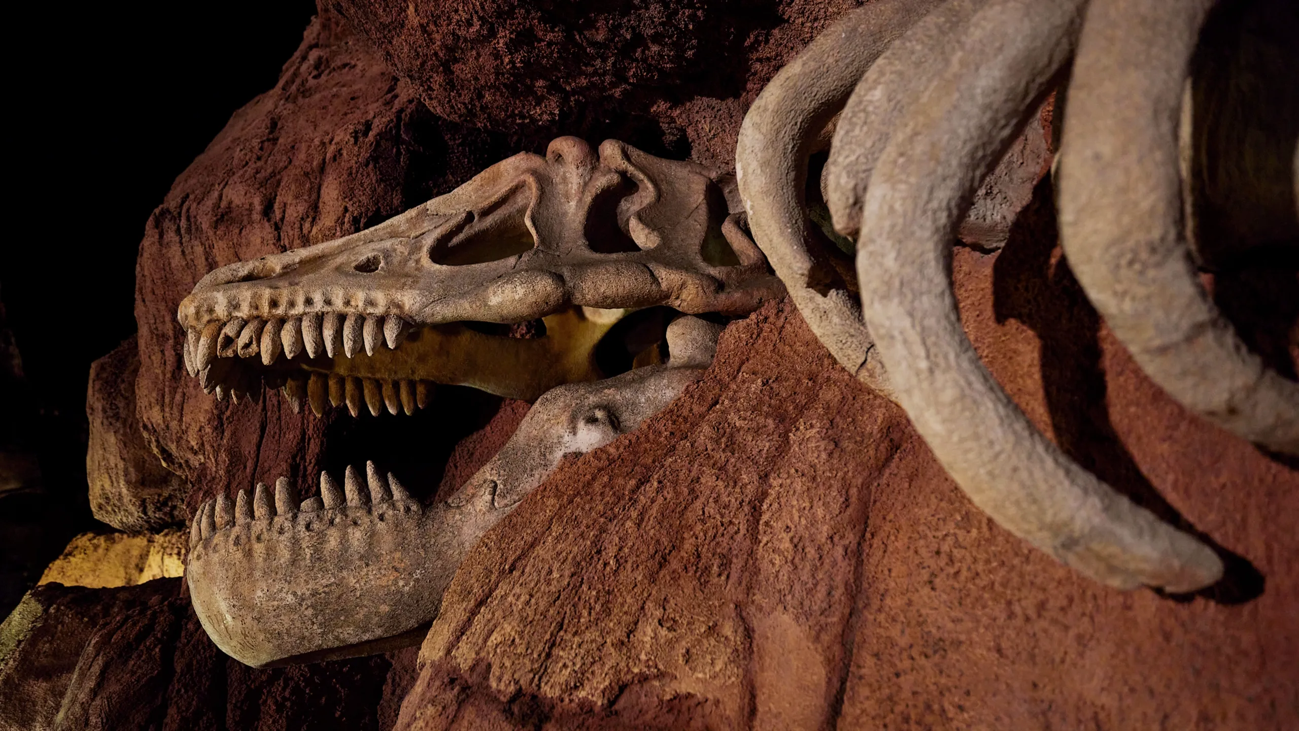 thumbnail - S2:E2 Big Thunder Mountain Railroad