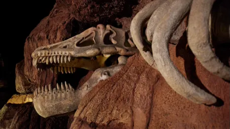 thumbnail - Detrás de las atracciones Disney