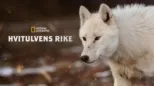 thumbnail - Hvitulvens rike