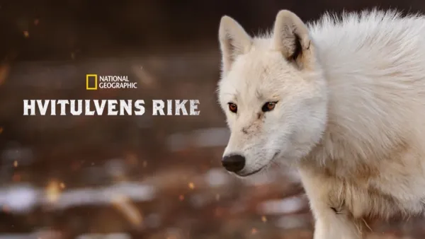 thumbnail - Hvitulvens rike
