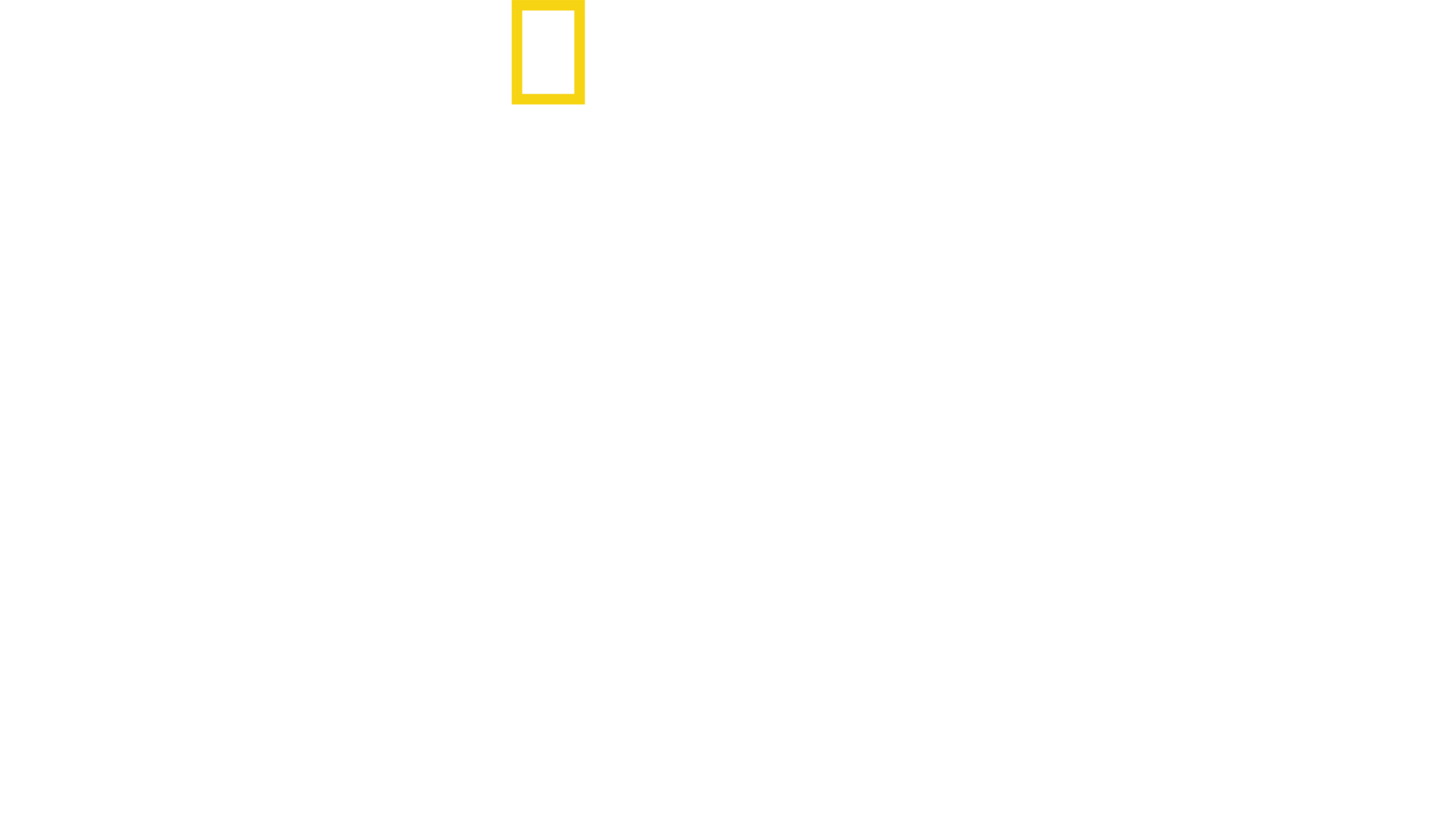 Tiburones de Maui