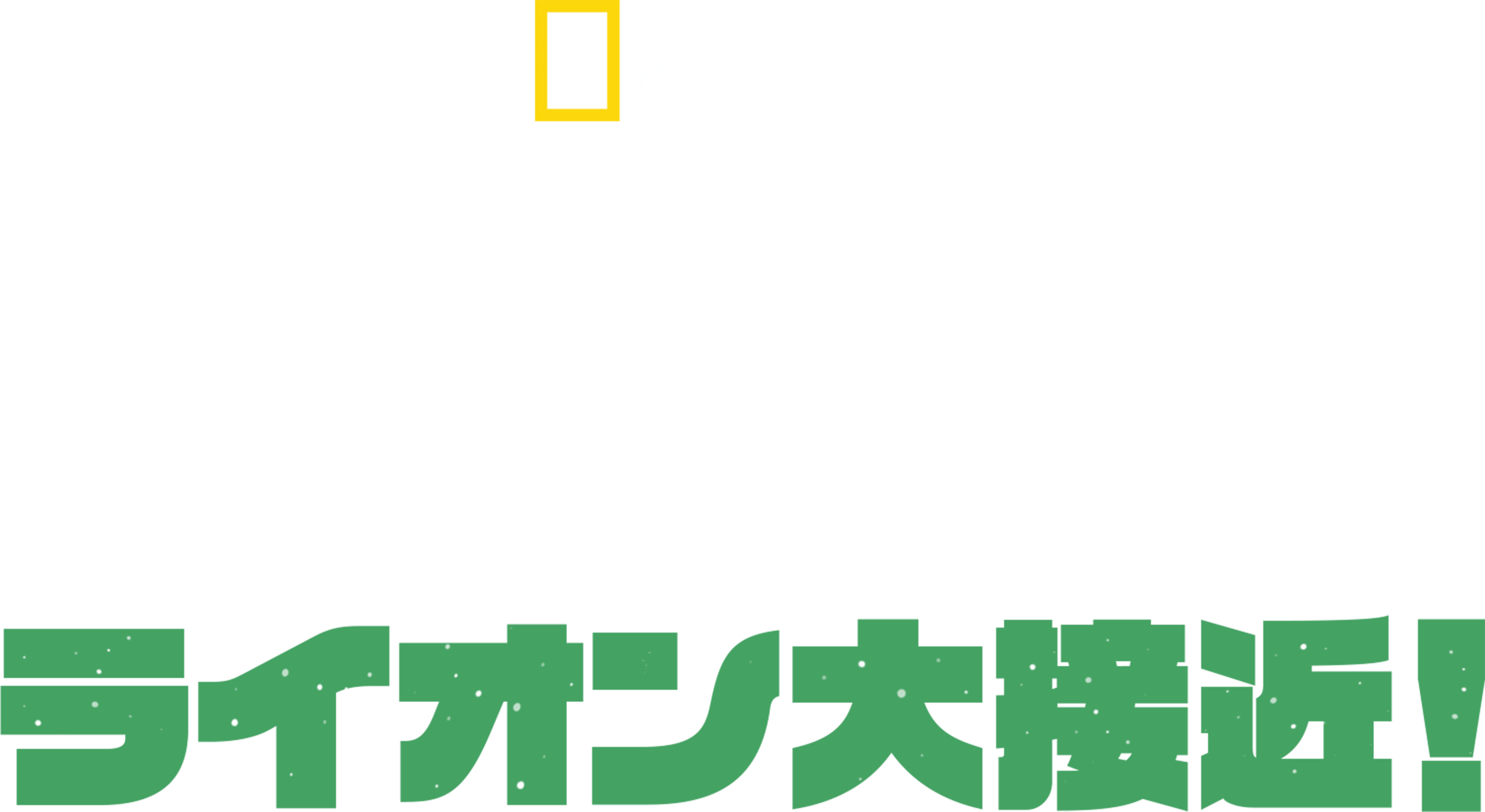 初公開！ライオン大接近！